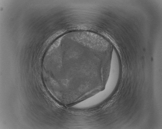 X0000081420673200702021628