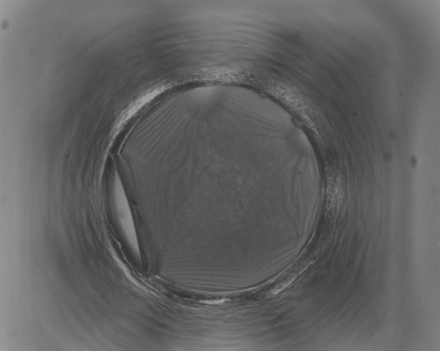 X0000081420674200702021628