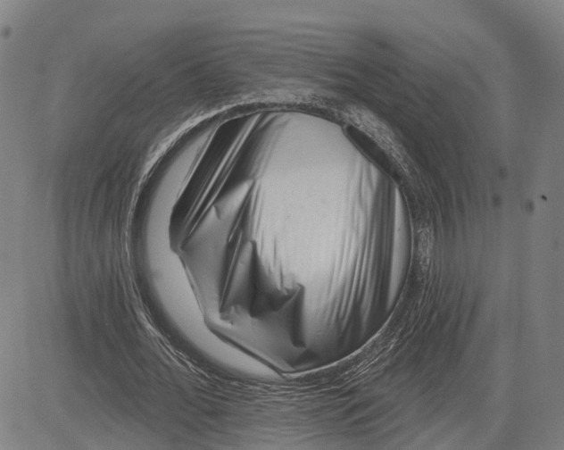 X0000081420676200702021628