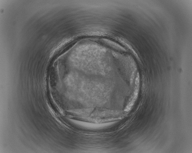 X0000081420677200702021628