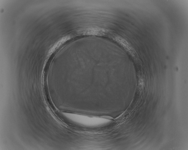 X0000081420678200702021628