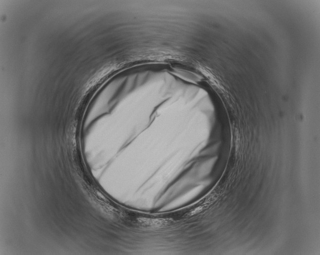 X0000081420679200702021628