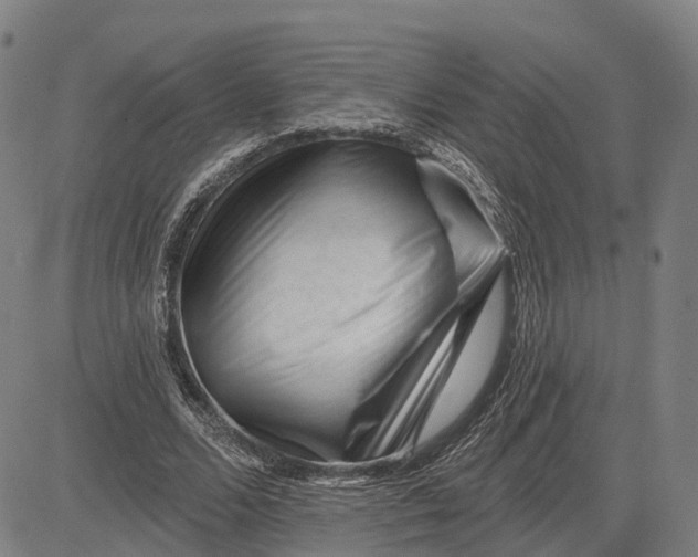 X0000081420680200702021628