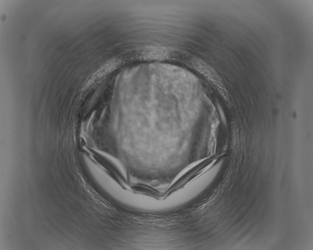 X0000081420681200702021628