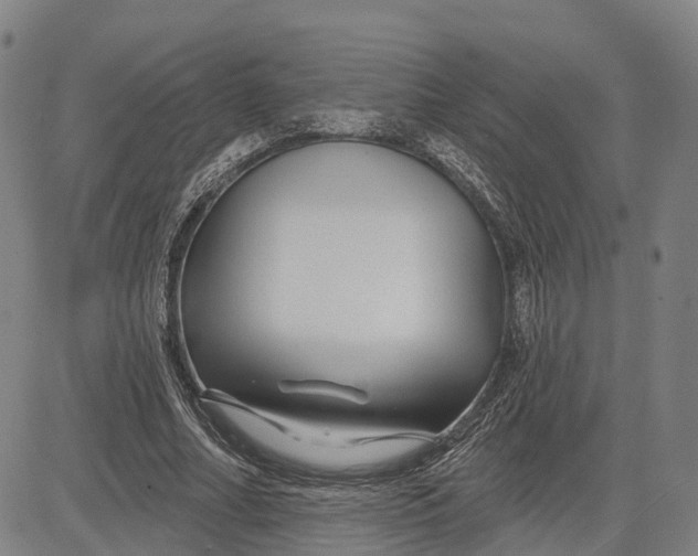 X0000081420682200702021628