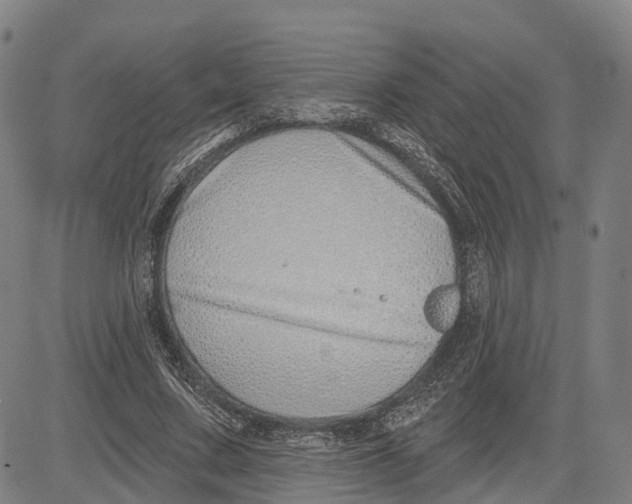 X0000081420683200702021628