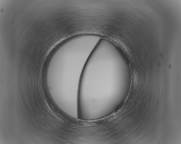 X0000081420684200702021628