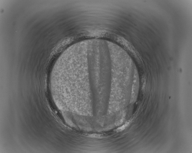 X0000081420685200702021628