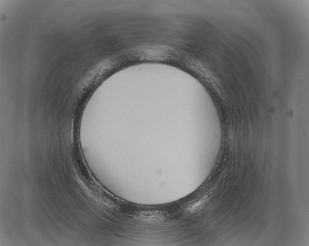 X0000081420686200702021628