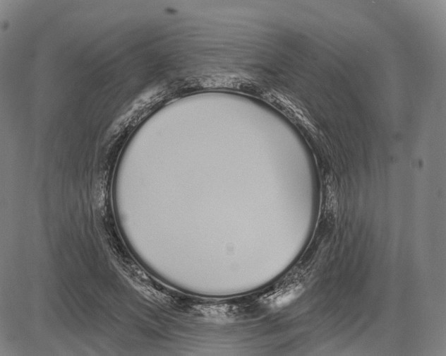 X0000081420687200702021628