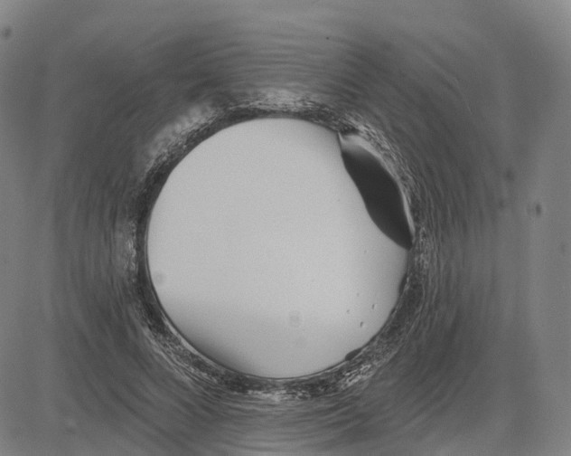 X0000081420688200702021628