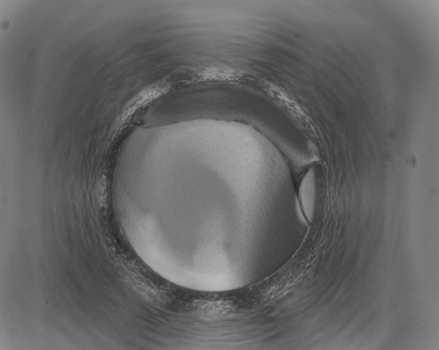 X0000081420689200702021628