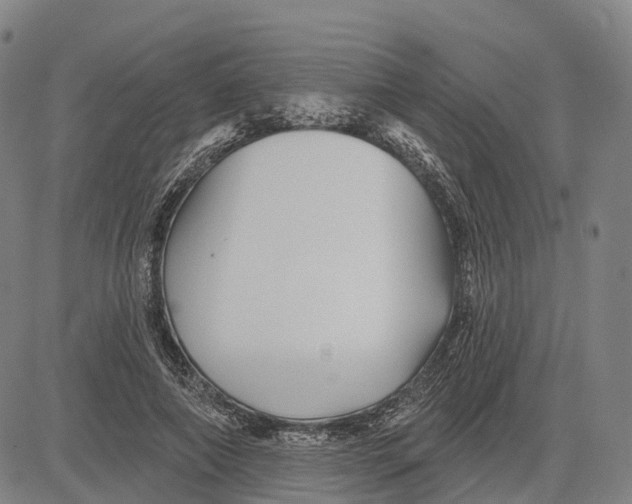 X0000081420690200702021628