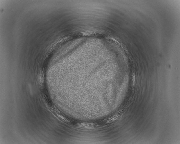 X0000081420691200702021628