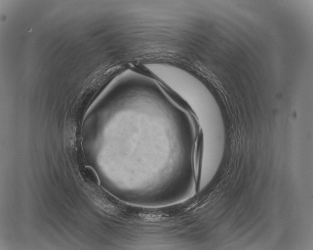 X0000081420693200702021628