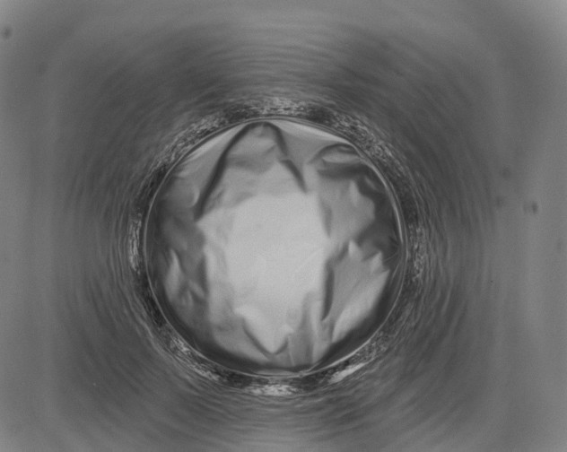 X0000081420695200702021628