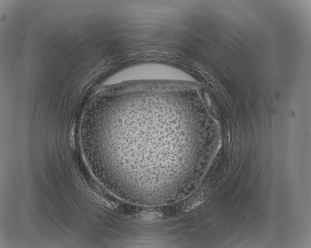 X0000081420696200702021628