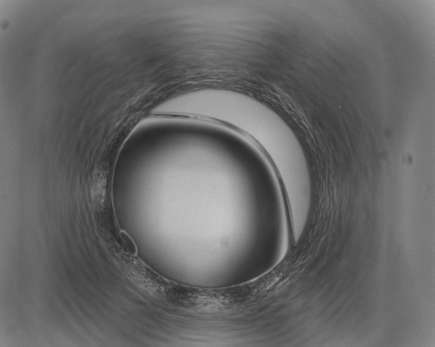 X0000081420697200702021628