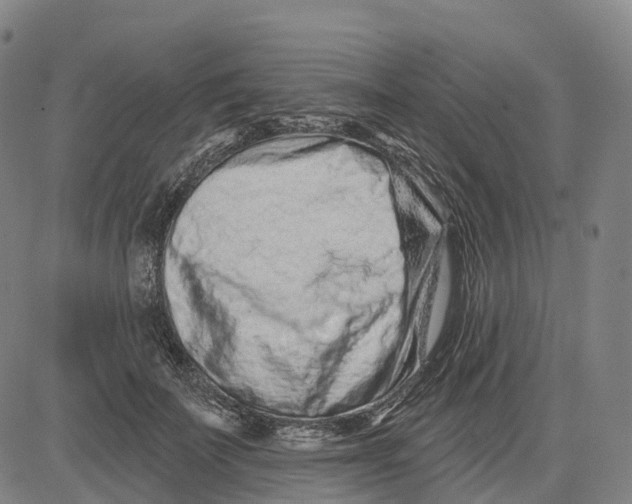 X0000081420699200702021628