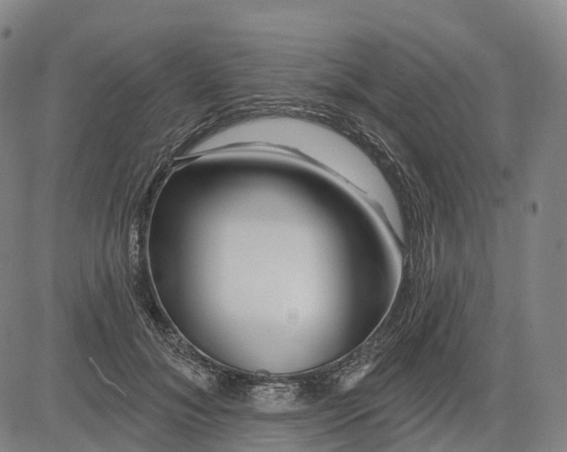 X0000081420700200702021628