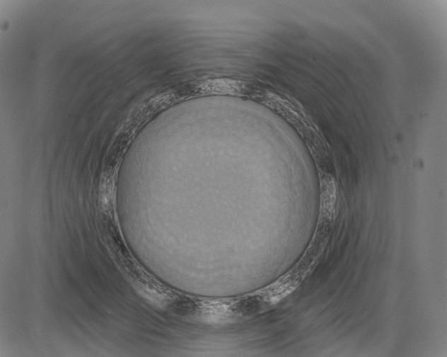 X0000081420701200702021628