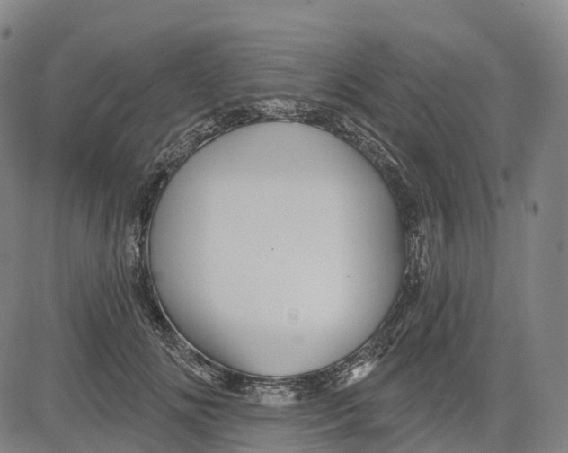 X0000081420702200702021628