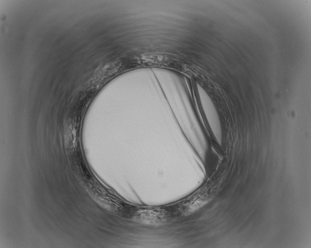 X0000081420703200702021628