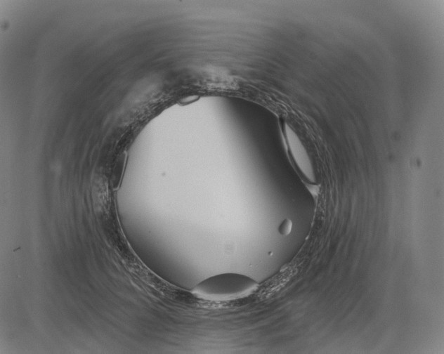 X0000081420704200702021628