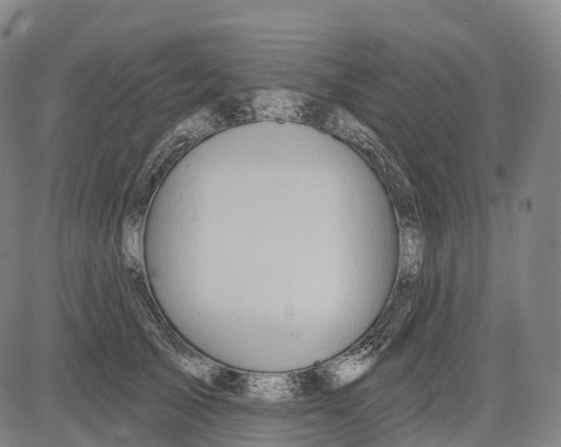 X0000081420705200702021627