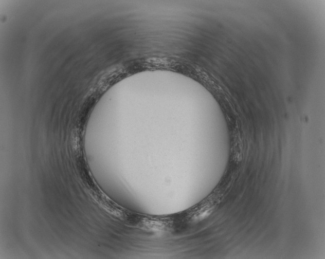 X0000081420706200702021627