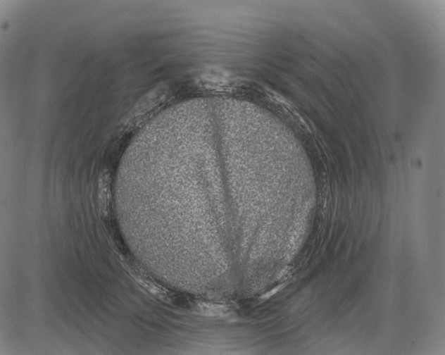 X0000081420707200702021627