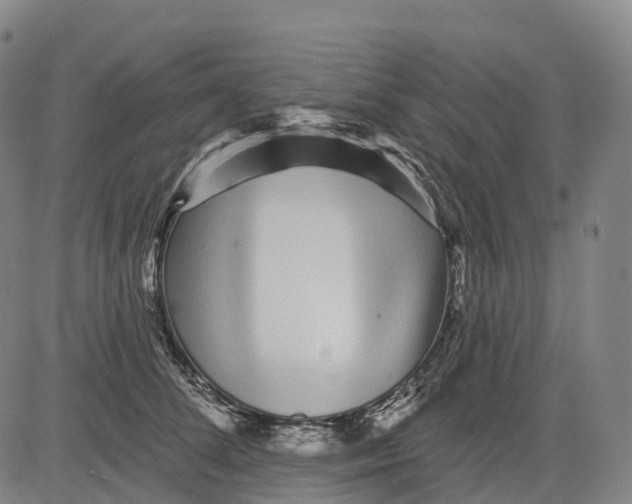 X0000081420708200702021627