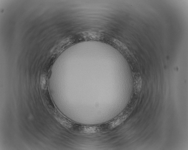 X0000081420709200702021627