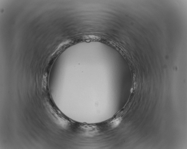 X0000081420712200702021627