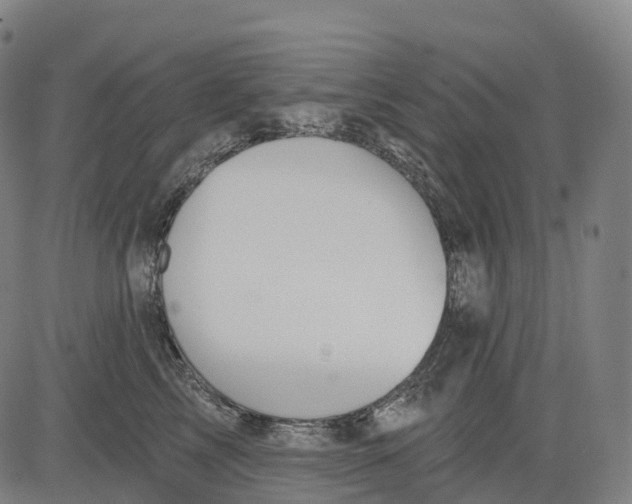 X0000081420713200702021627