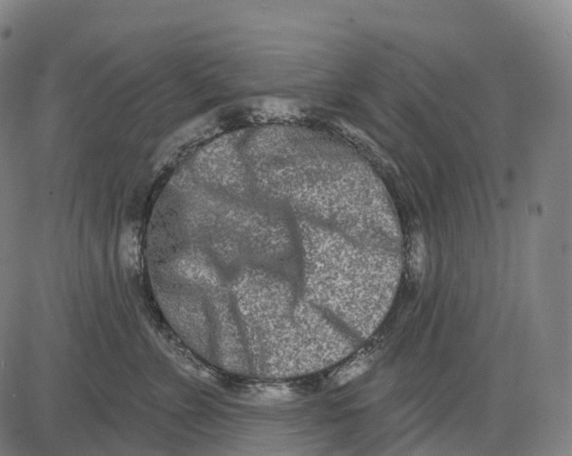 X0000081420715200702021627