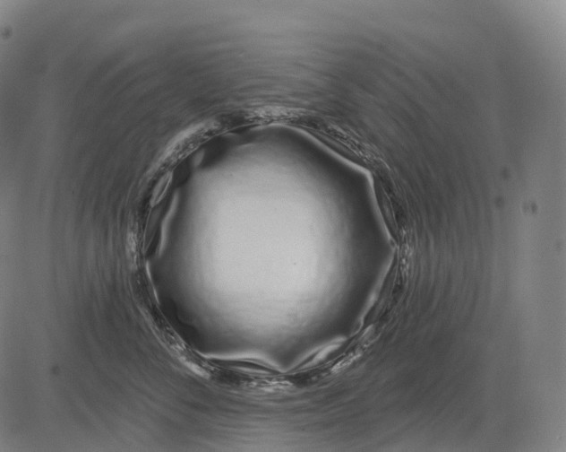 X0000081420716200702021627