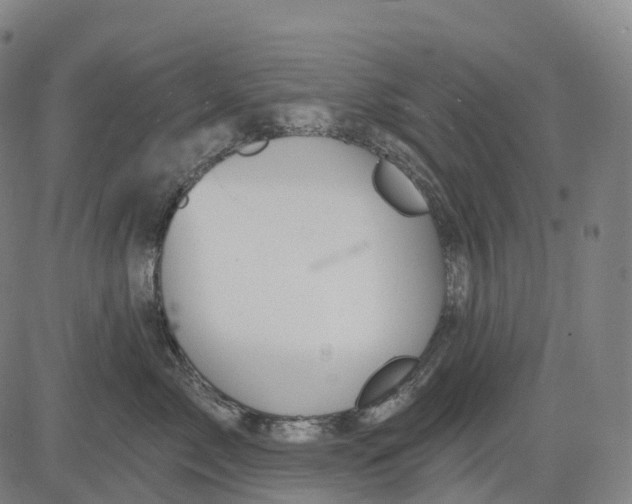 X0000081420717200702021627