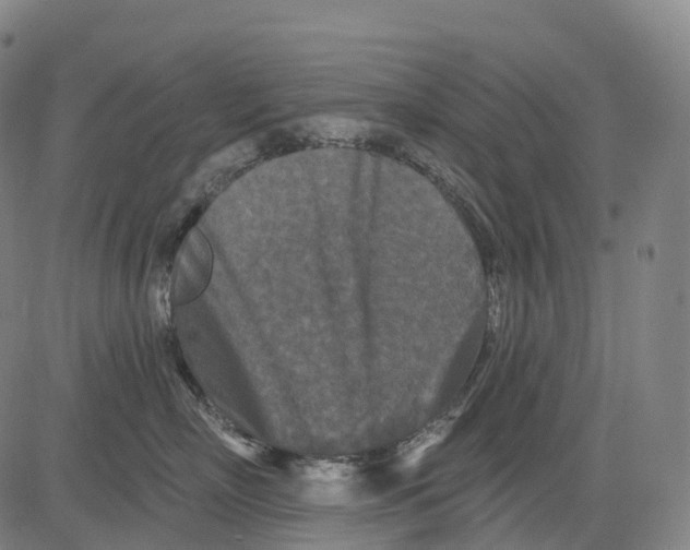 X0000081420718200702021627