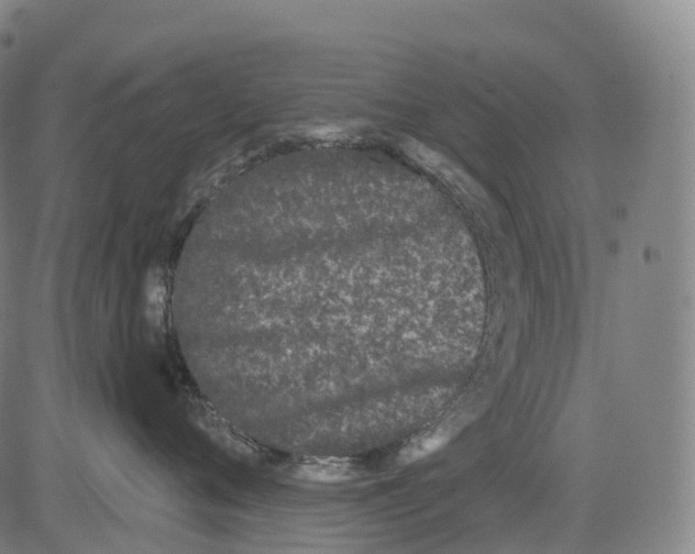 X0000081420720200702021627