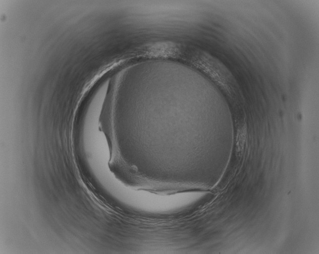 X0000081420722200702021626