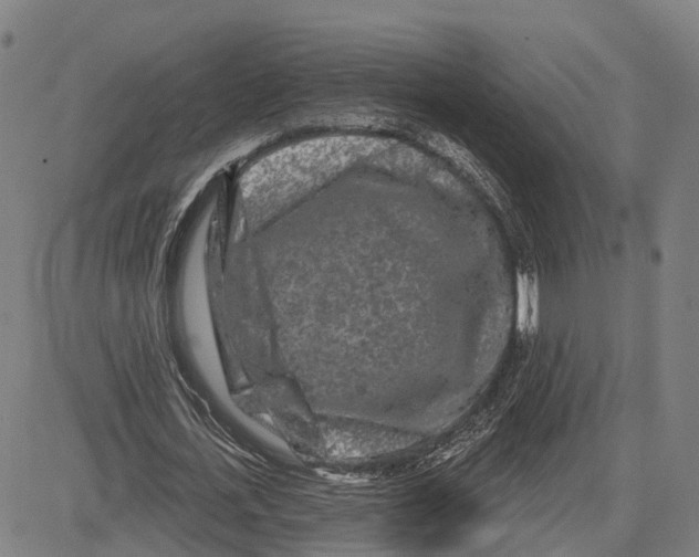 X0000081420723200702021626