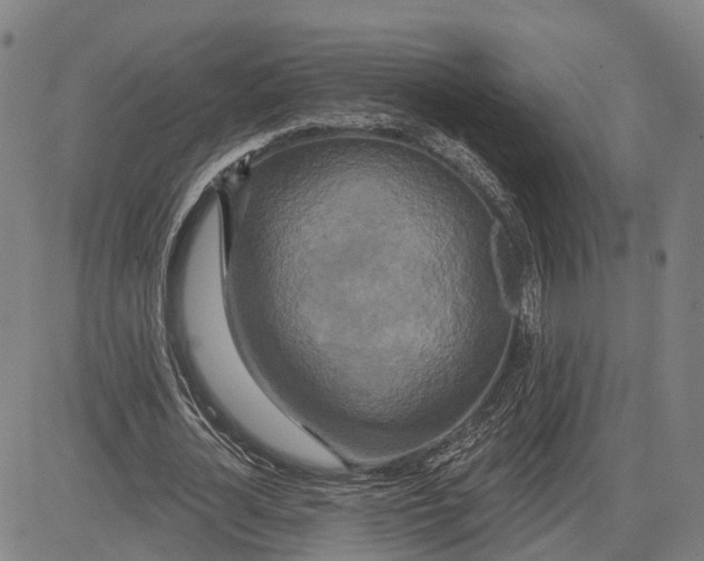 X0000081420724200702021627