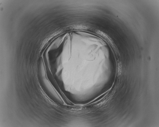 X0000081420725200702021627