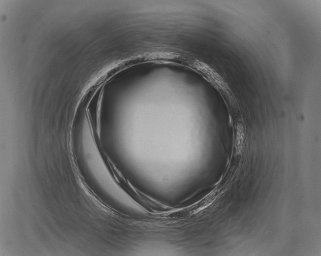 X0000081420726200702021627