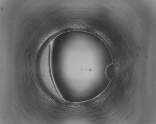 X0000081420727200702021627