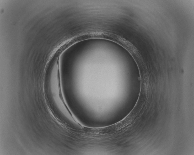 X0000081420728200702021627