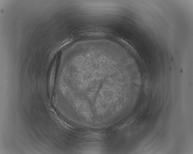 X0000081420729200702021627