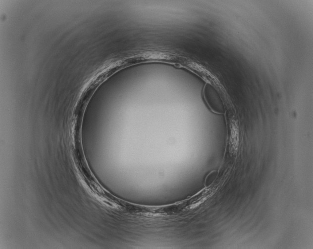 X0000081420730200702021627