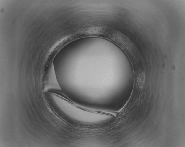 X0000081420732200702021627